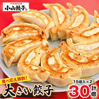 ふるさと納税 小山市 冷凍餃子専門店  小山餃子 大きい餃子 30個