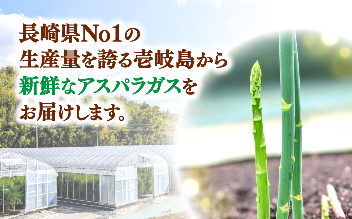 【アスパラガス専門農家が作る！】壱岐産アスパラガス1kg(Lサイズ)≪壱岐市≫【きたじま農園】国産 冷蔵配送 産地直送 朝採れ 新鮮 [JGI003]