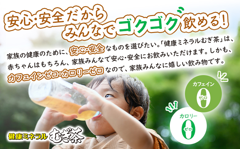『定期便：全4回』健康ミネラルむぎ茶2L×6本×2箱【500017】