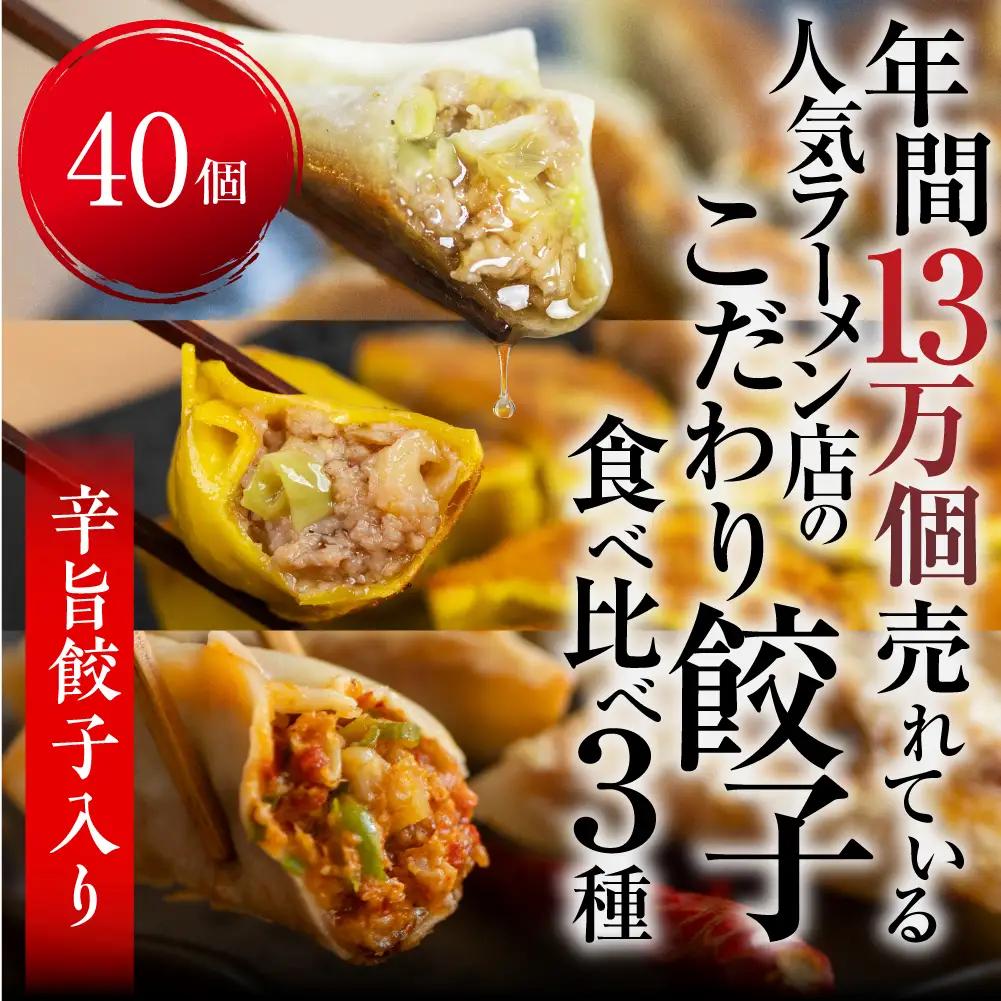辛旨餃子 ミックス 3種 40個 冷凍餃子 食べ比べ メガ盛り 業務用 ぎょうざ ギョウザ 冷凍 グルメ お取り寄せ グルメ 冷凍食品 国産素材 ジューシー もちもち [mt2216] 8000円 