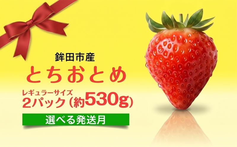 
                  【選べる発送月】 いちご とちおとめ レギュラーサイズ 2パック 約 530g 苺 イチゴ 果物 フルーツ くだもの 旬 デザート 産地直送 農家直送 数量限定 期間限定 旬 お取り寄せ ichigo strawberry itigo ふるさと納税いちご 茨城県 鉾田市 梅原農園
                