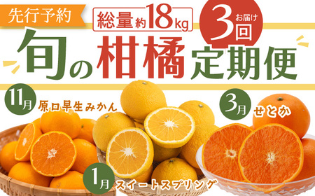 【先行予約・3回定期便】柑橘食べ比べ[OCU005]柑橘定期便柑橘食べ比べ柑橘定期便柑橘食べ比べ