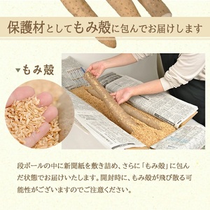 1323　長いも 2.5kg（2～3本）山形県遊佐町産