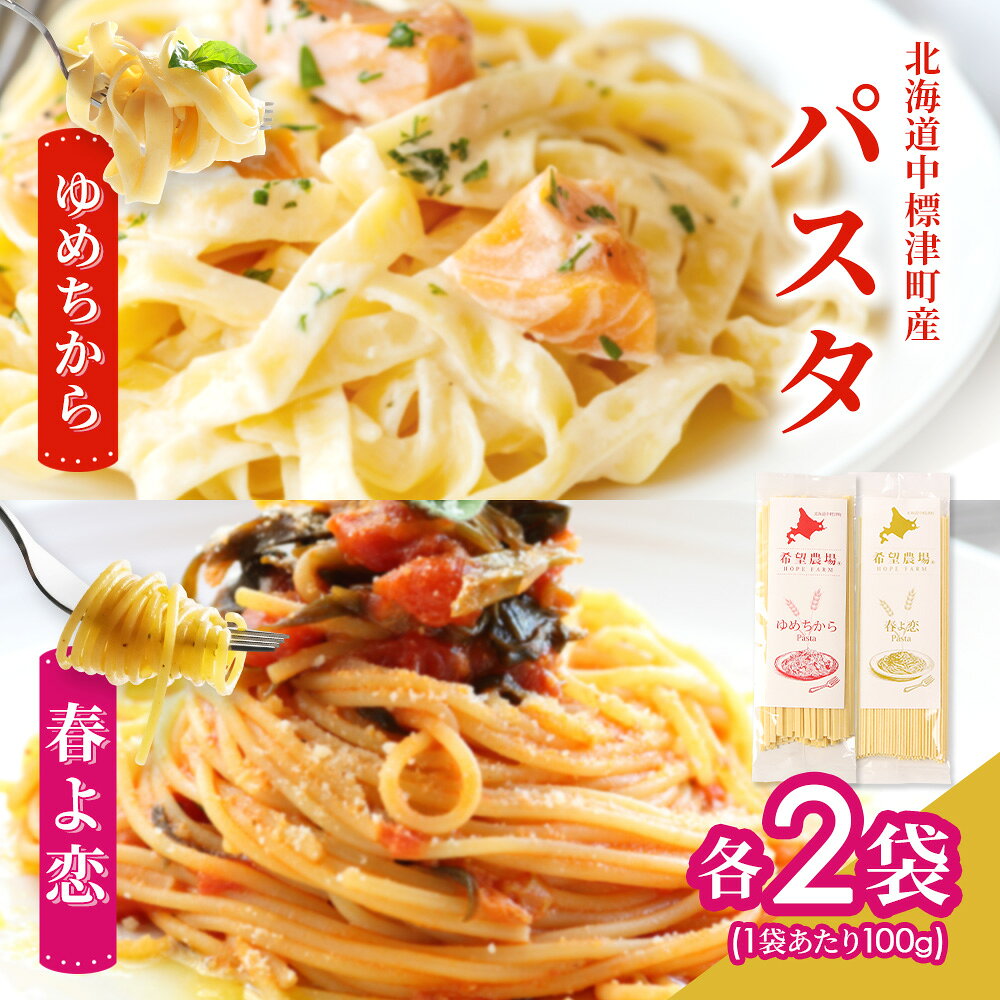 【ふるさと納税】北海道中標津町産「春よ恋」パスタ・「ゆめちから」パスタ 各2袋（合計4袋） | 春よ恋 ゆめちから 食べ比べ 北海道小麦のもちもちパスタ 国産小麦 本格パスタ 小麦の香り 旨み 堪能 北海道産 常温保存 麺類 お取り寄せ 北海道 中標津町 中標津【82005】