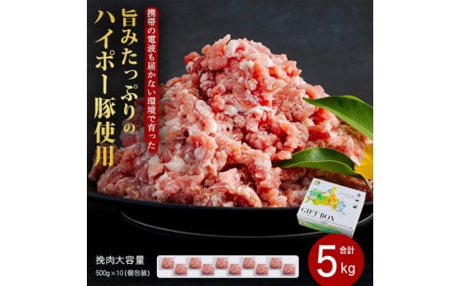 山口県産豚挽肉500ｇ×10パック小分けセット│携帯の電波も届かない環境で育った旨みたっぷりのハイポー豚