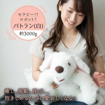 ふるさと納税 糸島市 パトランの白(通称:シロラン)糸島市/科学工房未來[AYI003]