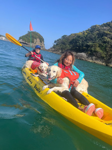 愛犬と一緒にシーカヤック 湊カフェ＆Pirates 施設利用券〈15,000円分〉　【 カヤック カヤック カヤック カヤック カヤック 犬 犬 犬 】