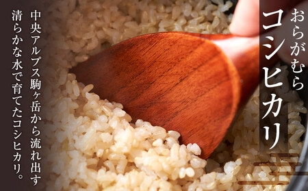 【予約受付】【令和７年米】長野県宮田村産 コシヒカリ 玄米 10kg・19,000円／令和８年5月配送 [ コシヒカリ ]