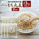 【ふるさと納税】【訳あり】もち丸麦 合計3kg 500g×6パック ご飯にもサラダにも！ 相良村産 国産 熊本県産 もち麦 もちむぎ 簡易包装 送料無料