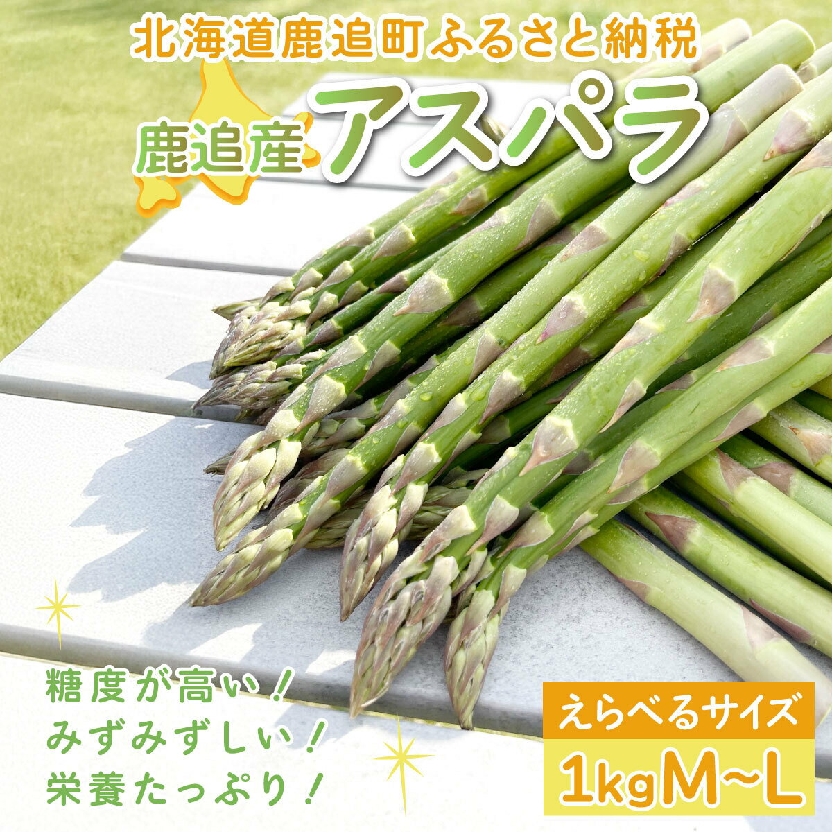 【ふるさと納税】鹿追産アスパラ（1kg）選べるサイズ M～L【 ふるさと納税 人気 おすすめ ランキング アスパラ アスパラガス あすぱら 野菜 旬 北海道産 北海道 鹿追町 送料無料 】 SKA037