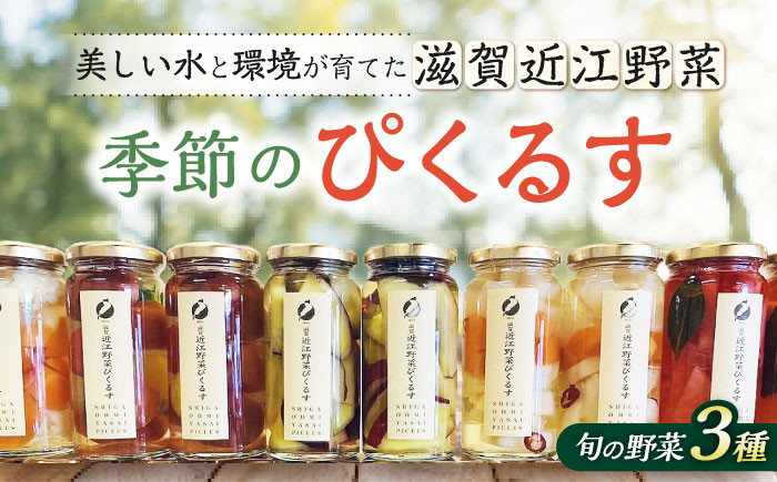 
滋賀近江ぴくるす 季節の3種セット　滋賀県長浜市/株式会社わたなべ陶器 [AQAC018]
