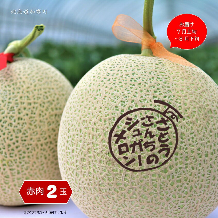 【ふるさと納税】≪令和7年産≫ さとうさんちのシュガーメロン(赤肉2玉) ふるさと納税 メロン 北海道 【7～8月お届け】