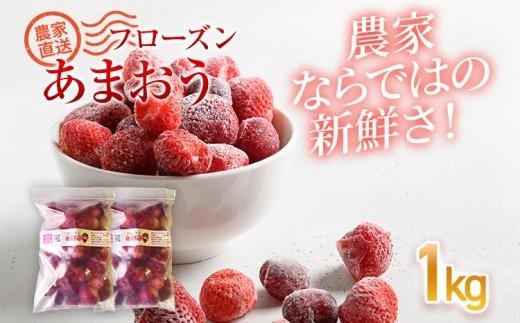 
                  フローズンあまおう1kg or 2kg【BD10/BD11】
                