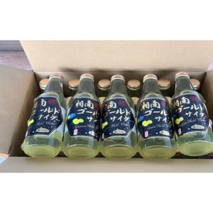 湘南ゴールドサイダー 340mlｘ24本【飲料 ドリンク ジュース サイダー　オレンジサイダー オレンジ 炭酸 自宅用 贈答品 贈答用 ギフト お取り寄せ お中元 お歳暮 贈り物 プレゼント 神奈川県 小田原市 サイダー サイダー サイダー サイダー サイダー】