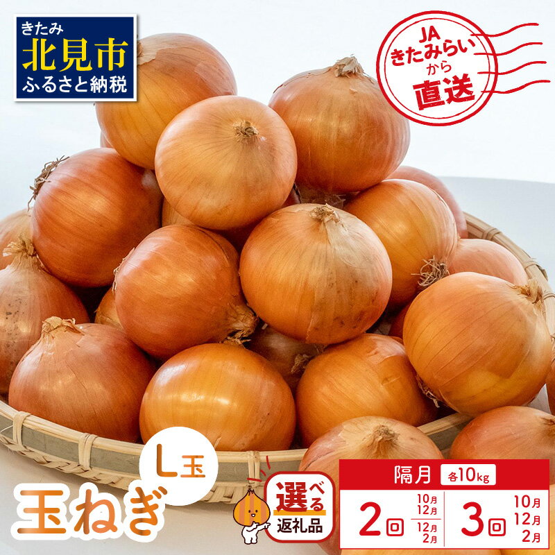 【ふるさと納税】【選べる回数（隔月）】JAきたみらいから直送する新鮮玉ねぎ 10kg(L玉) 10月 12月 2月 ( 10kg 野菜 選べる回数 定期便 玉葱 たまねぎ 隔月定期便 10kg )