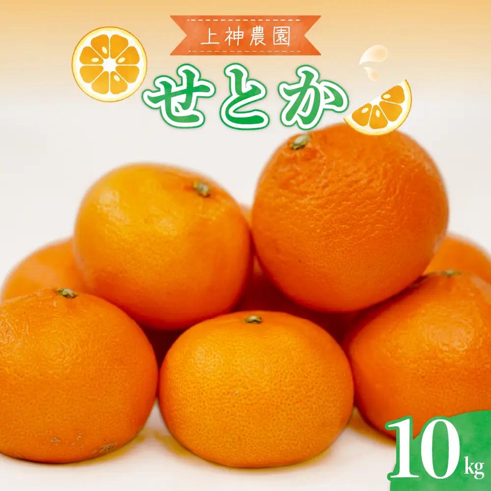 先行受付 2027年2月初旬～発送 広島県産 せとか 約10kg 柑橘