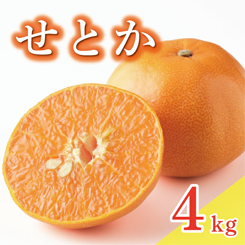 【ふるさと納税】 数量限定 先行予約 せとか 4kg 14000円 setoka 高級 人気 ブランド プレミアム 産地直送 農家直送 愛媛 みかん mikan 蜜柑 ミカン 国産 期間限定 特産品 フルーツ 果物 柑橘 甘い おいしい お取り寄せ ギフト プレゼント お礼 みかんの山祥 愛南町 愛媛県