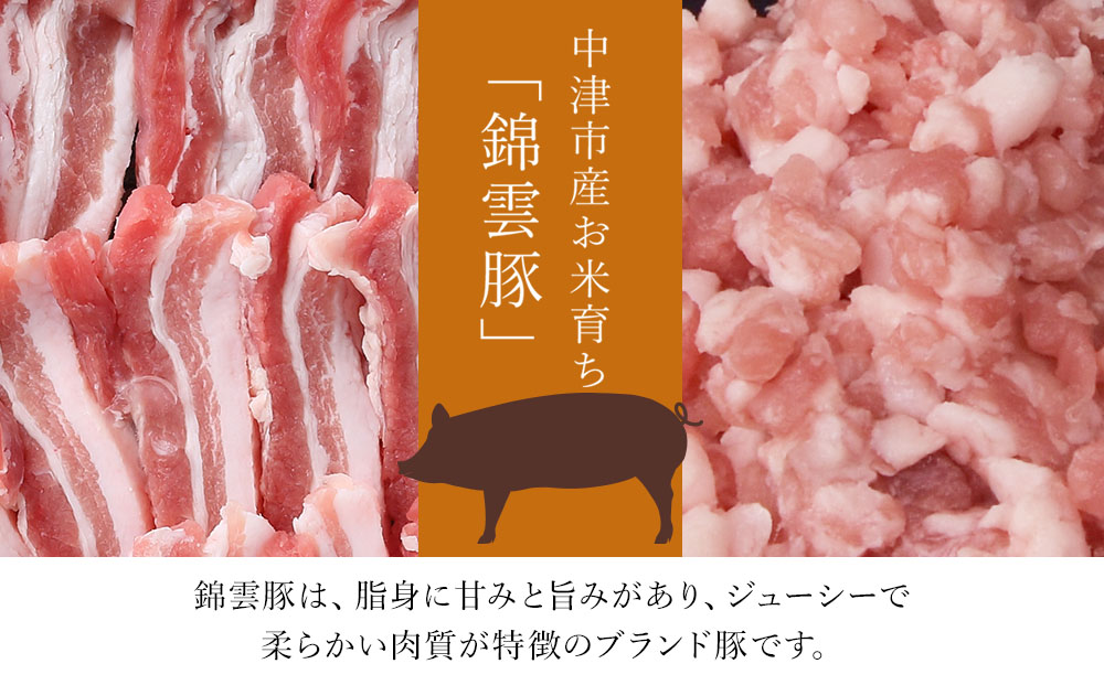 錦雲豚ハンバーグ 10個セット （100g×10個） | お肉 肉 豚 豚肉 ハンバーグ 惣菜 おかず 弁当 豚肉 国産 九州産 大分県産 ブランド豚 錦雲豚 冷凍 小分け 送料無料 大分県 中津市