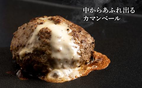 定期便6ヵ月 お楽しみ 北海道産 白老牛 カマンベールチーズハンバーグ 10個セット 冷凍 チーズ イン ハンバーグ BY116