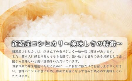有機栽培米新潟産コシヒカリ5kg　毎月6回連続でお届けします。 米 お米 こめ コメ ごはん 新潟 白米 コシヒカリ ブランド米 銘柄米 お取り寄せ 産地直送