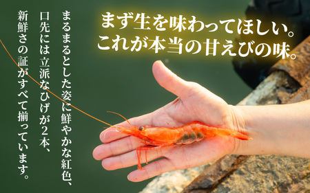 【簡易包装】ちょっと贅沢なご褒美を～ 「ふく福甘えび」 剥き甘えび そのまんま（冷凍）120g × 3袋 【甘海老 あまえび アマエビ えび 海老 剥き身 お刺身 生食 海鮮 海産物 魚介類 新鮮 冷