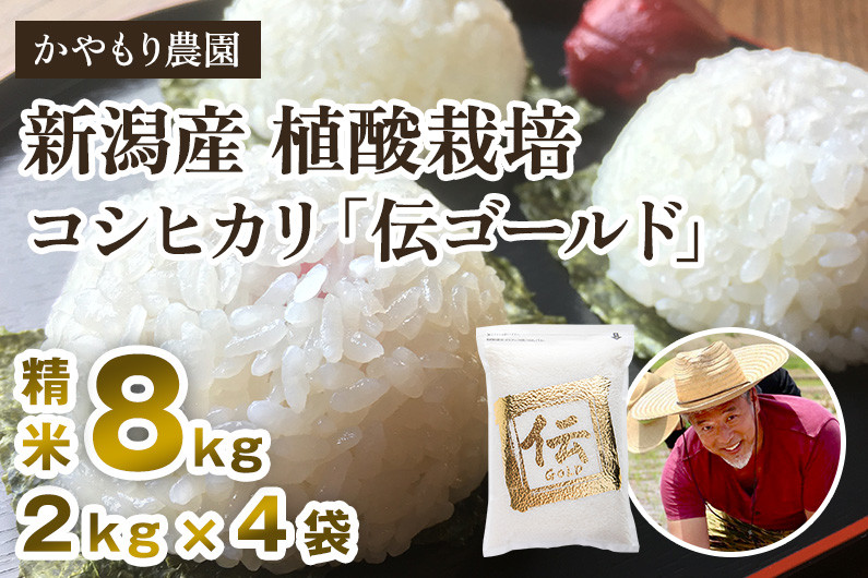 
            【令和6年産米】新潟産コシヒカリ「伝ゴールド」精米8kg（2kg×4）白米 真空パック 分とく山 新潟産 新潟県産 南麻布の高級料亭で提供される極上米 かやもり農園
          