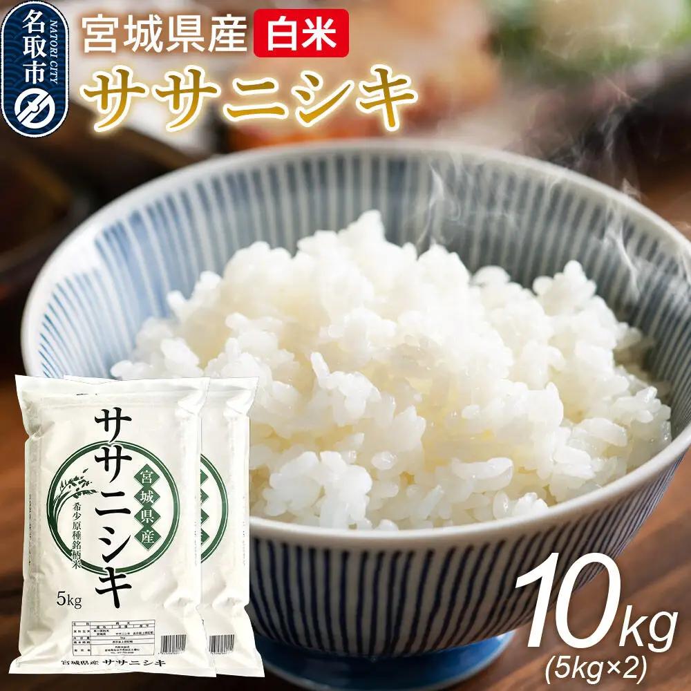 ササニシキ 10kg 令和7年産 宮城県産 白米