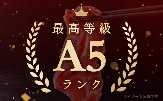 【げんさん】近江牛A5ランク切落し定期便【全3回定期便】【リピート多数】【訳あり】【DG25W】（滋賀県　近江八幡市）