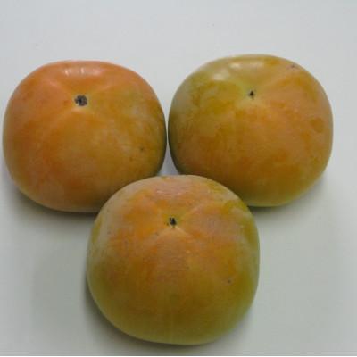 ふるさと納税 香川県 季節のフルーツ「太秋柿&早秋柿セット」計約5kg【令和8年9〜10月発送】 |  | 01