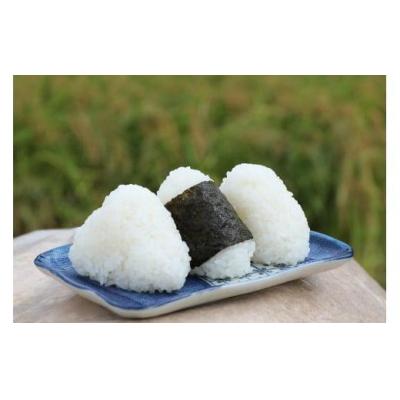 ふるさと納税 鳥取市 【定期便】2026年 新米定期便 鹿野のさくら姫米 3kg×全3回【10月・11月・12月】 |  | 01