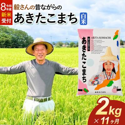 ふるさと納税 大仙市 ＜令和8年産 新米＞《定期便11ヶ月》あきたこまち【白米】2kg|22_oks-010211s