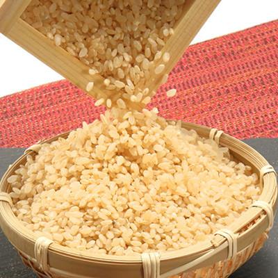ふるさと納税 大潟村 【毎月定期便】あきたこまち特別栽培玄米5kg全9回 |  | 01