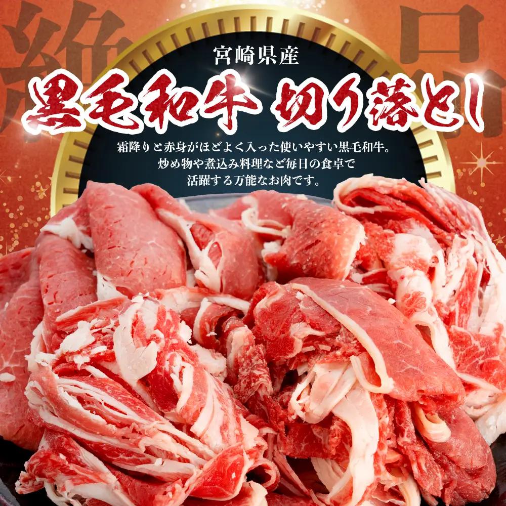 宮崎県産 黒毛和牛 贅沢セット ミンチ肉 万能切り落とし 約1.1kg セット 冷凍｜国産牛 牛肉 お肉 ひき肉 ミンチ 切り落とし スライス パック 化粧箱入り ハンバーグ コロッケ ミートソース 