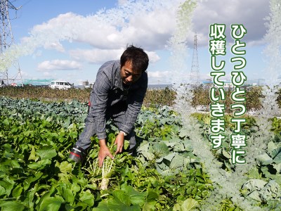 CC004_【6回定期便】かずちゃんの朝採り新鮮野菜セット隔月6回お届け みやき町産
