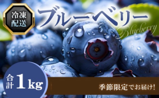 A-1221 冷凍ブルーベリー