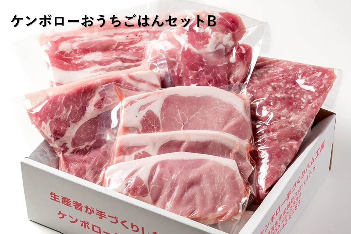 
            【年内配送】おうちごはんセットB（ステーキ２種、スライス肉、豚ミンチセット） 肉 豚肉 ロース ステーキ ミンチ こま切れ スライス 【002_1973】
          