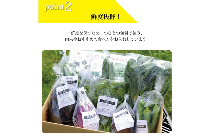 【3回定期便】旬の京野菜　毎月お届けレギュラーコース（全3回） 《野菜定期便 野菜詰め合わせ 野菜セット 京野菜 旬の野菜 新鮮野菜 有機野菜 減農薬》 ※沖縄・その他離島は配送不可 [033KH00