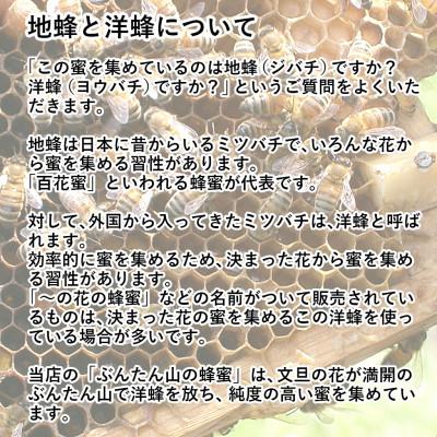 ふるさと納税 土佐市 爽やかな香り広がる100%天然蜂蜜　ぶんたん山の蜂蜜　360g |  | 02
