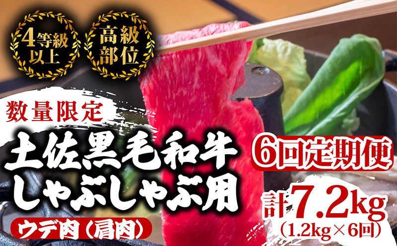 【定期6回】土佐黒毛和牛ウデ肉しゃぶしゃぶ用 計7.2kg【1.2kg×6ヶ月連続お届け】 3Eコース