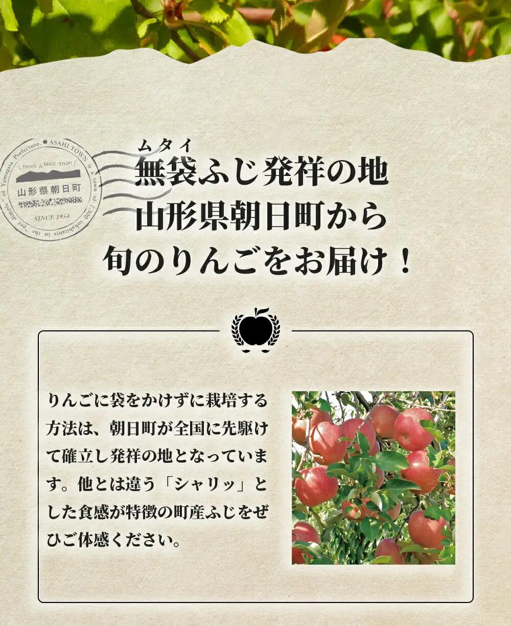 りんご 【 ご家庭用 訳あり 】 ふじりんご  3kg  【11月中旬～12月中旬発送】サンふじ ふじ リンゴ 林檎 山形県 朝日町産 山形県産 特産 果物 フルーツ リンゴ 林檎 秋 冬 送料無料
