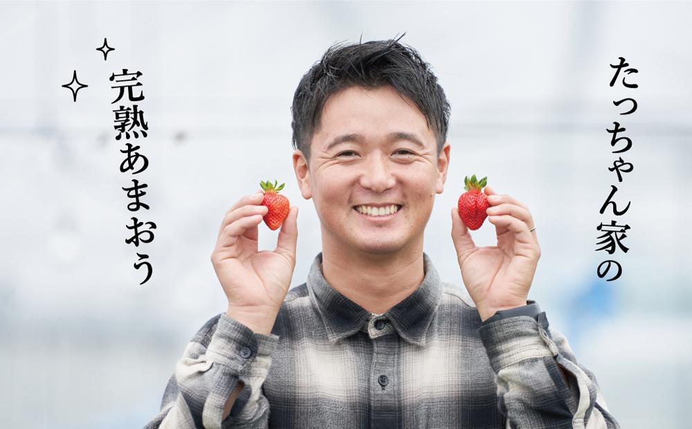 【2025年2月1日～3月31日までに発送！】有機肥料にこだわったたっちゃん家の完熟あまおう（270g×4パック）【配送不可地域：北海道・沖縄・離島】