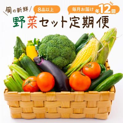 ふるさと納税 御坊市 【発送月固定定期便】旬の新鮮野菜セット8種以上【野菜詰め合わせ】全12回