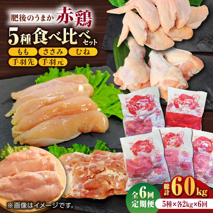 【ふるさと納税】【6回定期便】肥後のうまか 赤鶏 5種食べ比べセット（モモ ささみ ムネ 手羽先 手羽元）各2kg【山内飼料 株式会社 熊本営業所】[ZAB013]