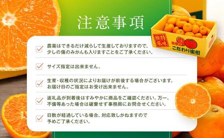うまみ際立つ 蔵出しみかん サイズ混合_10kg