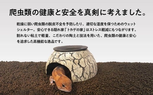 トカゲの家 ウェットシェルター 黒 爬虫類 | ペット トカゲ とかげ ペット用品 爬虫類用 シェルター 隠れ家 飼育用品 家 カビ抑制 観察 陶器 おしゃれ おうち デザイン 飼育 黒地 レオパード
