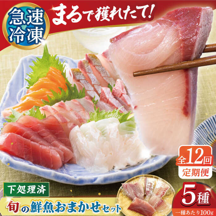 【ふるさと納税】【全12回定期便】【五島の旬】下処理済み 超速冷凍 鮮魚 5種 五島市 / 金沢鮮魚[PEP021] 柵 冷蔵 真空パック 新鮮 下処理済み 海鮮 刺身 セット