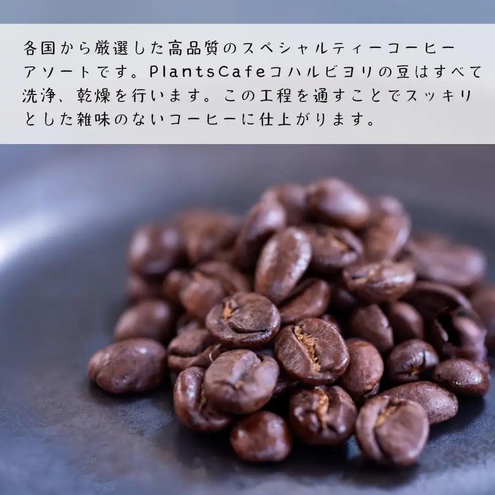 スペシャルティーコーヒーアソート６種類　（２００g×６）豆のまま1.2kg
