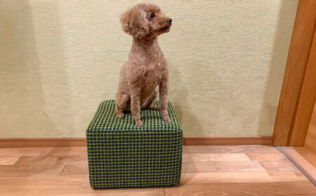 【クラシック】スツール(選べる合皮張地10種類) 日田市 椅子 イス スツール [ARFT006]