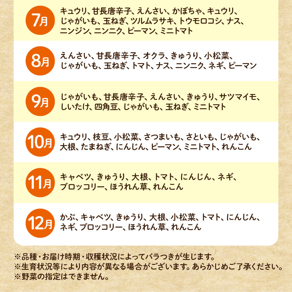 【毎月お届け】むなかた旬のお任せセット（野菜）7～9品