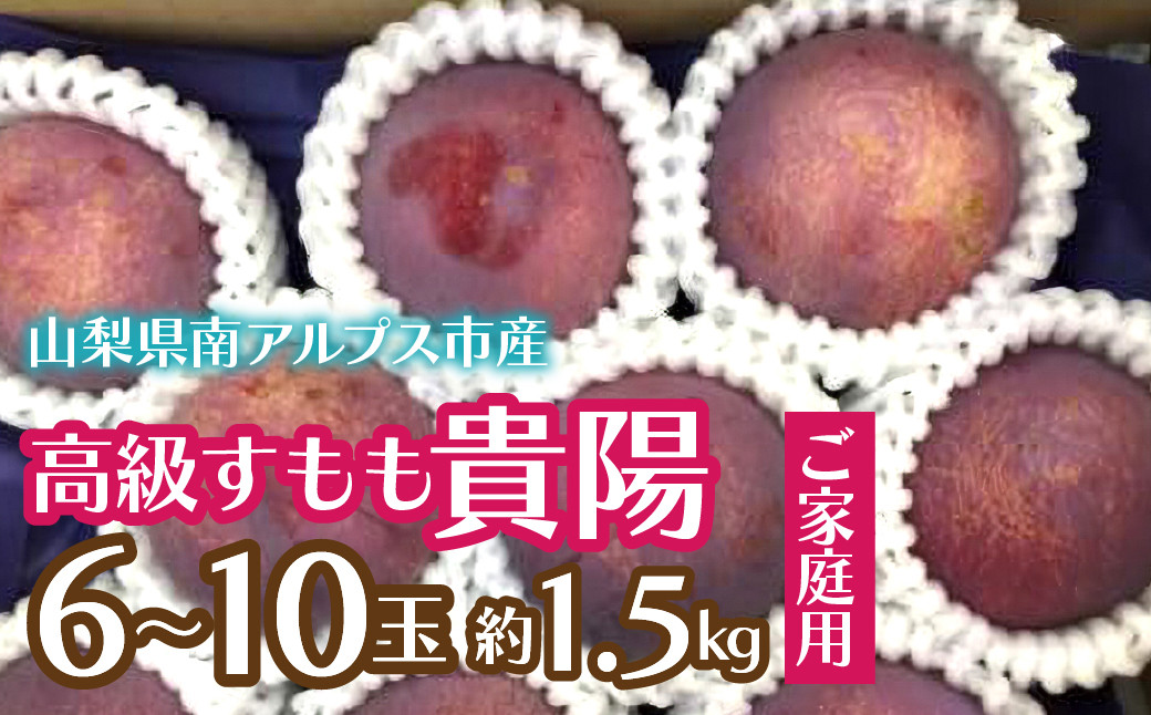 
            ＜2025年発送分先行予約＞【ご家庭用】高級すもも「貴陽」約1.5kg（6～10玉） ALPCZ016
          